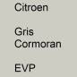 Preview: Citroen, Gris Cormoran, EVP.